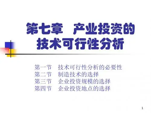 产业投资的技术可行性分析ppt课件