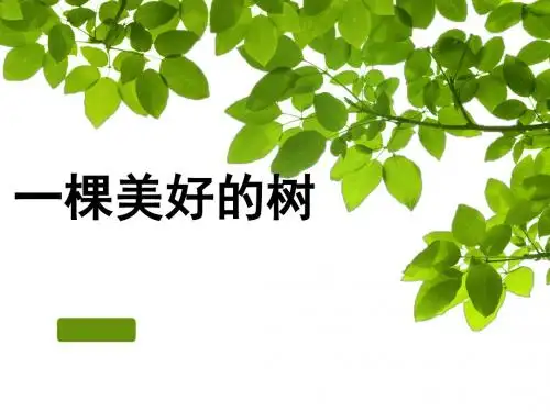 中考语文复习课件：记叙文写作(共20张PPT)