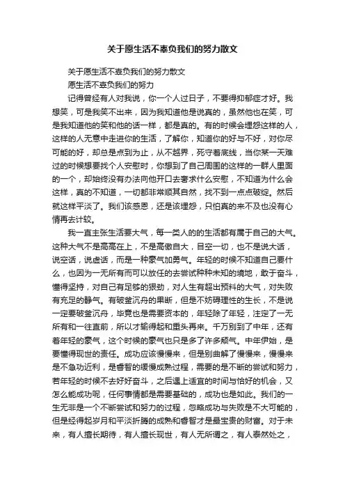关于愿生活不辜负我们的努力散文