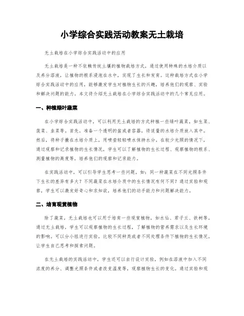 小学综合实践活动教案无土栽培