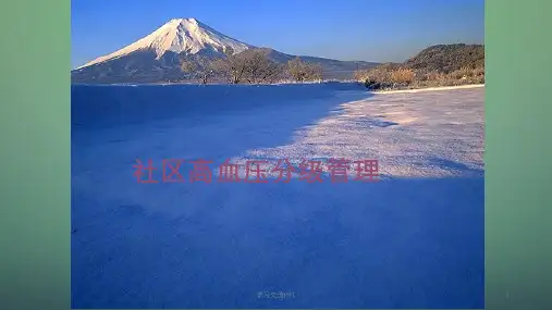 高血压分级管理ppt课件