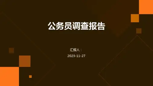 公务员调查报告