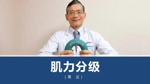 肌力分级