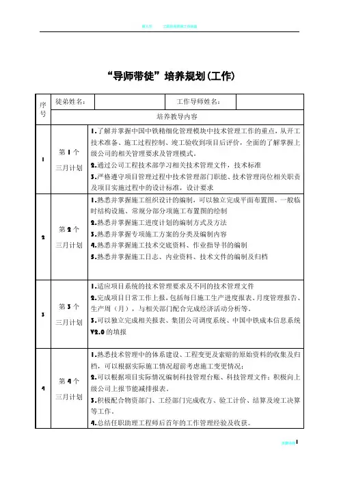 工程单位工作导师带徒培养规划