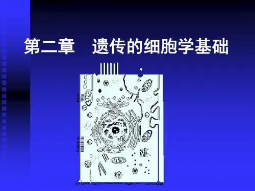 医学遗传学课件第二章遗传的细胞学基础