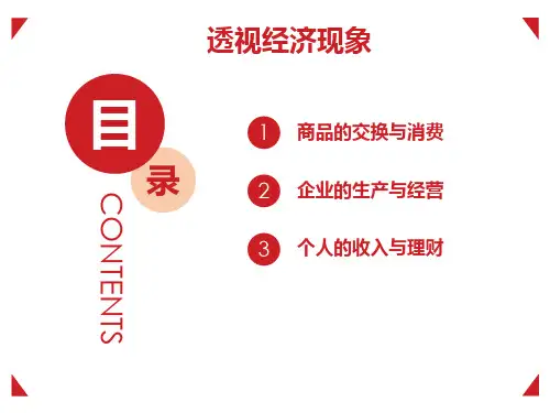 经济政治与社会教学课件-透视经济现象