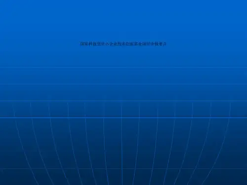 国家科技型中小企业技术创新基金项目申报要点