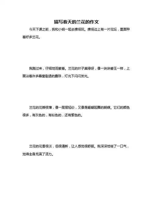 描写春天的兰花的作文