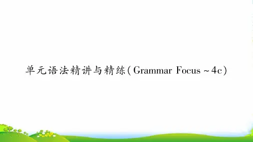 九年级人教版英语课件：Unit 8 单元语法精讲与精练(15张)