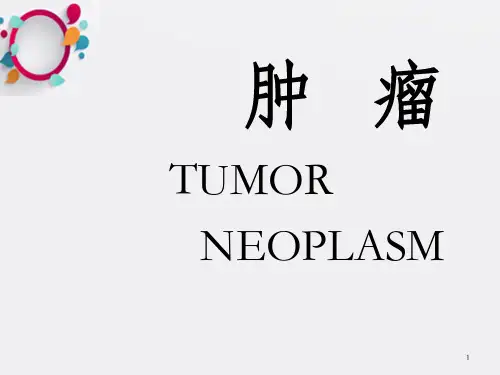《病理学肿瘤》PPT课件