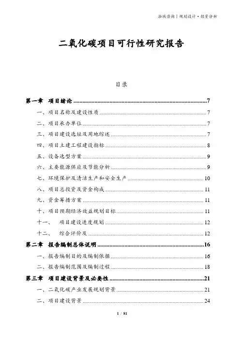 二氧化碳项目可行性研究报告