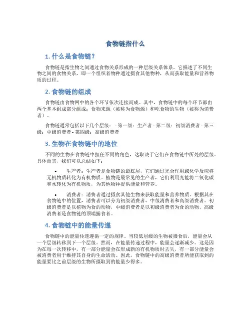 食物链指什么