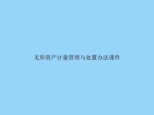 无形资产计量管理与处置办法
