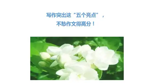 作文提分五个亮点