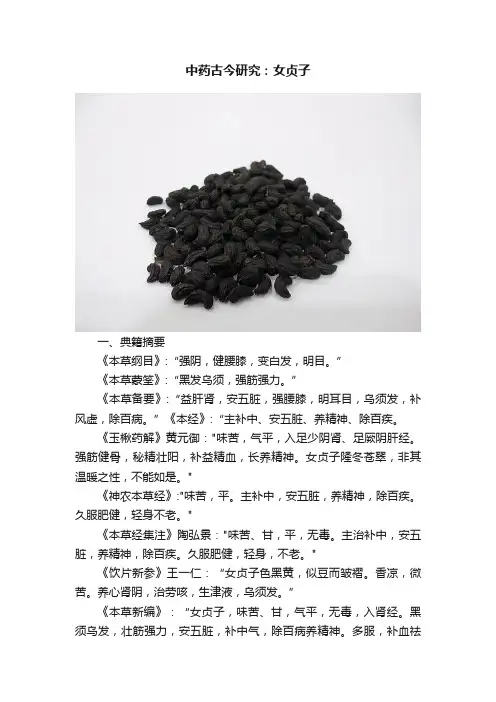 中药古今研究：女贞子