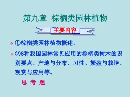 园林树木与花卉第9章棕榈类园林树木