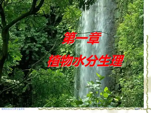 植物的水分生理专家讲座