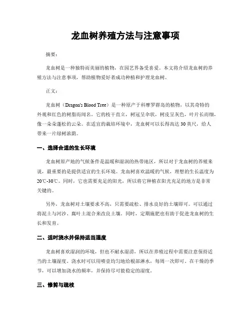 龙血树养殖方法与注意事项
