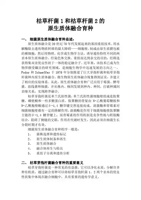 枯草杆菌原生质体融合育种