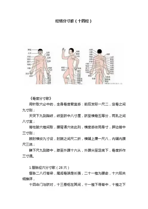 经络分寸歌（十四经）