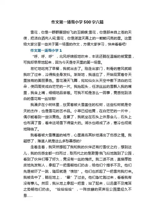 作文第一场雪小学500字六篇