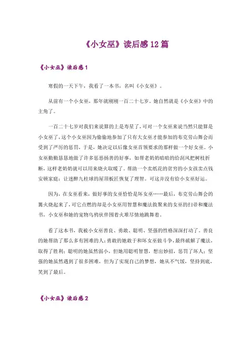 《小女巫》读后感12篇