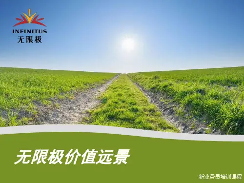 无限极价值远景-精品文档