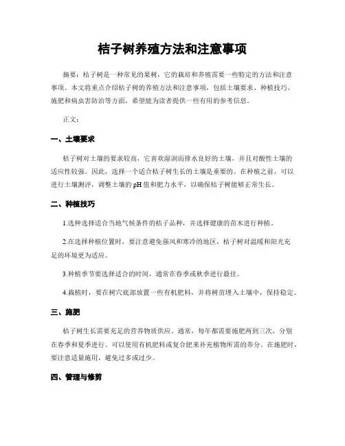 桔子树养殖方法和注意事项