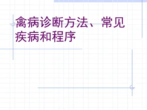 禽病诊断方法、常见疾病和程序