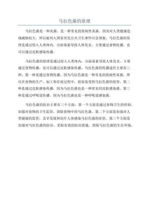 马拉色菌的原理