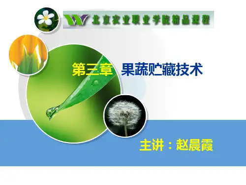 第一节 果蔬贮藏技术
