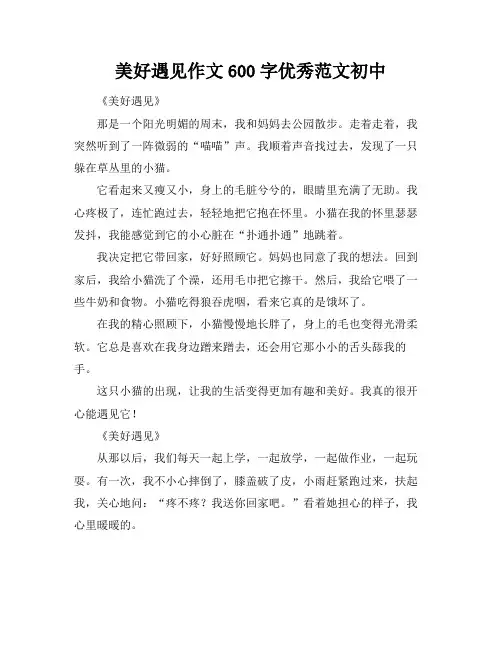 美好遇见作文600字优秀范文初中