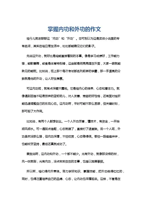 掌握内功和外功的作文