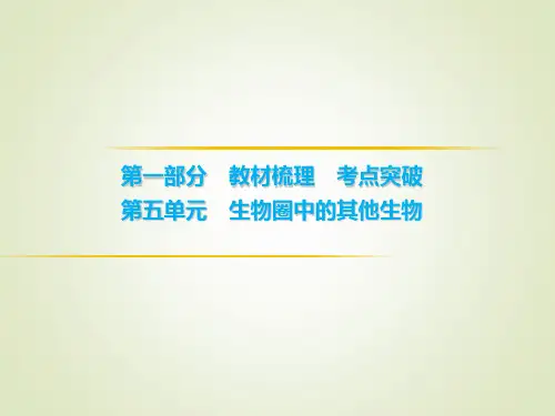 初中生物学业考试 病毒