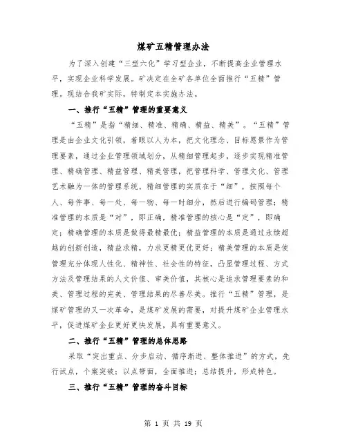 煤矿五精管理办法(三篇)