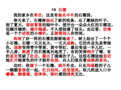 苏教版三上16《石榴》