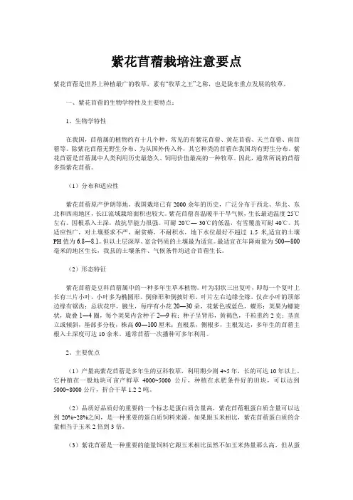 紫花苜蓿栽培注意要点