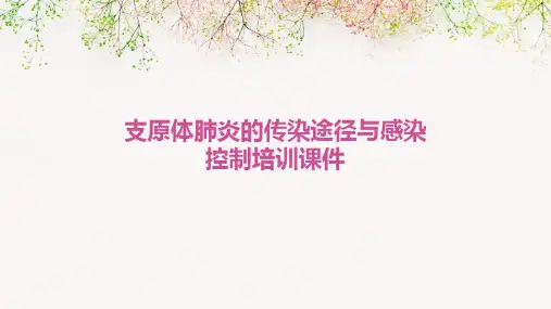 支原体肺炎的传染途径与感染控制培训课件