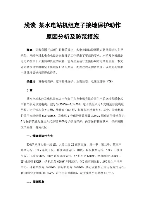 浅谈某水电站机组定子接地保护动作原因分析及防范措施