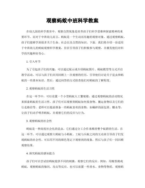 观察蚂蚁中班科学教案