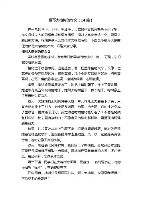 描写大榕树的作文（14篇）