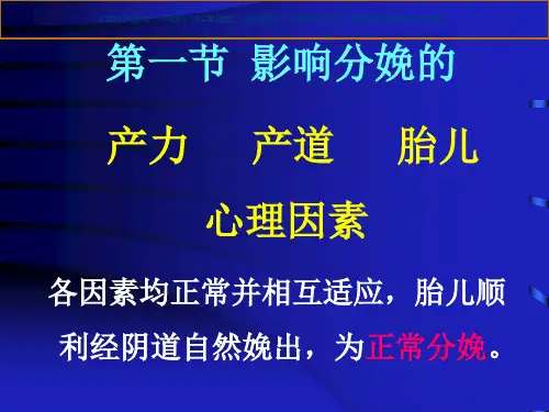 影响分娩因素课件