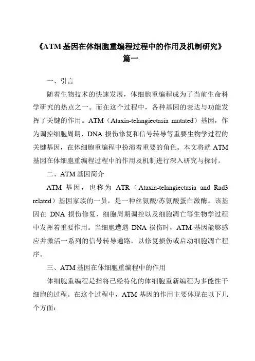《ATM基因在体细胞重编程过程中的作用及机制研究》范文