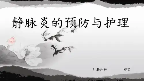 静脉炎的护理PPT课件