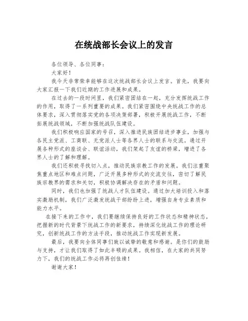 在统战部长会议上的发言