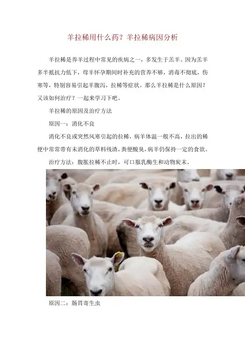 羊拉稀用什么药？羊拉稀病因分析