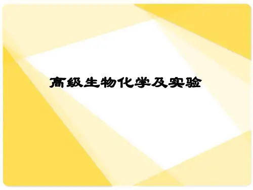 氨基酸的结构及性质