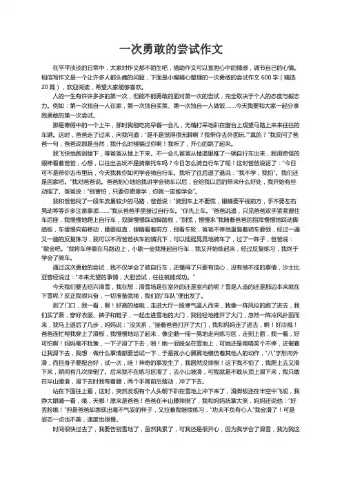 一次勇敢的尝试作文600字（精选20篇）
