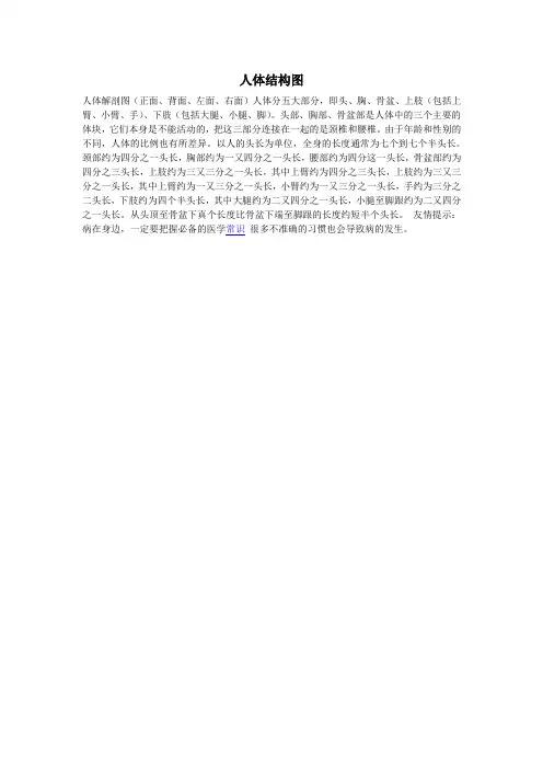人体结构图