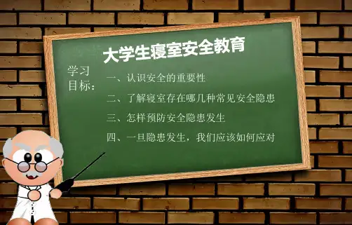大学生宿舍改造ppt课件